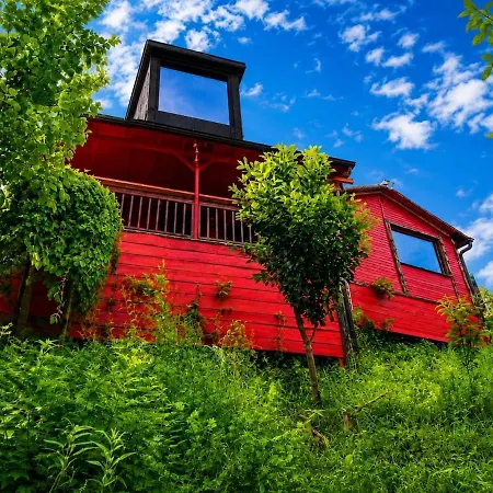Hobbit Fairy-tale House With Private Pool *