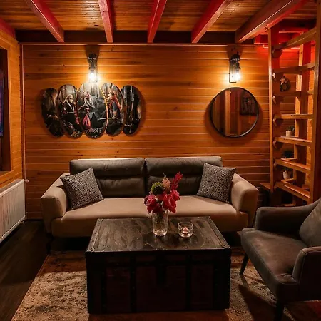 Hobbit Fairy-tale House With Private Pool Holiday home Sakarya (Marmara)